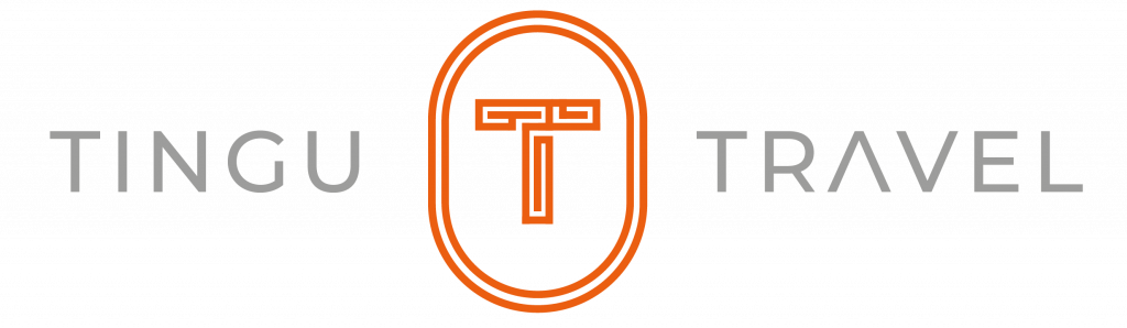 Tingo Travel Logo